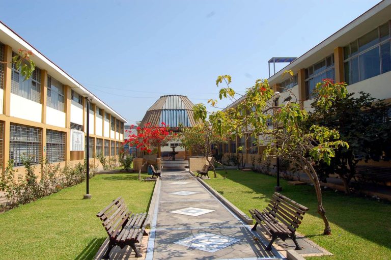 Jardín y pérgola